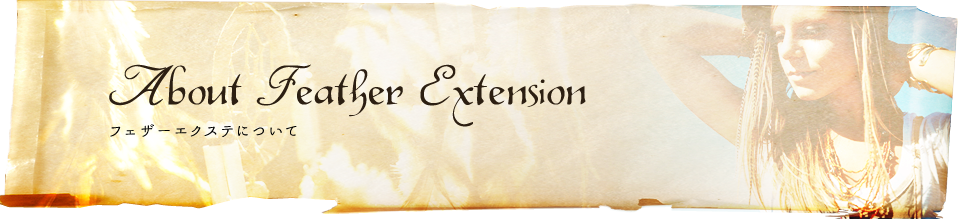 フェザーエクステについて