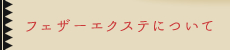 フェザーエクステについて