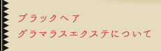 ブラックヘア・グラマラスエクステについて